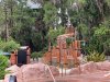 IMG_7746.jpeg
