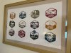 IMG_3356.jpeg
