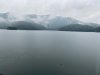 7B4F3909-E217-423B-B2C7-65169FB2C0C8.jpeg