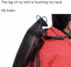593604