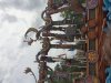 20190823_144059.jpg