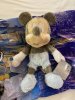 IMG_7501.JPEG