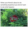 594485