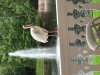 IMG_3561.JPG