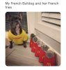04A6C5AF-7C04-44E9-B9EF-CED34E25DADB.jpeg
