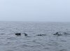 PXL_20210806_164610378.jpg