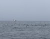 PXL_20210806_162804023.jpg