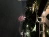 27B87243-BCE9-4919-BDD2-E41FBE5B0087.jpeg