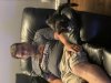 IMG_6129.jpeg IMG_6129.jpeg