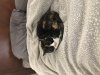 IMG_4255.jpeg
