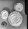 F3426BBA-CB1E-45C7-A88B-69C3A5A8A726.jpeg