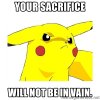 your-sacrifice-will-not-be-in-vain.jpg