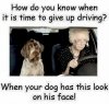 0B4C2833-4150-4B6E-8FAB-8AD6D02A7623.jpeg