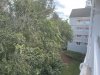 IMG_0816.jpg