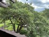 00354354-126D-4678-A2EE-5F69568AA169.jpeg