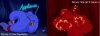 Genie.jpg