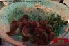 SAI CAMARONES AL AJILLO DU.jpg