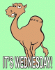 3817D616-9B16-4798-8C1C-25C234F4ACF9.gif
