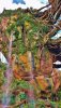 20180502_083150.jpg