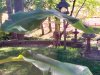 1A72F20B-875A-4363-ADB0-9A08B6BB01BA.jpeg