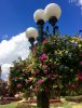 8041C13F-AD76-4EBF-BC95-9064248BA086.jpeg