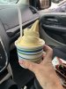 IMG_9321.jpeg IMG_9321.jpeg