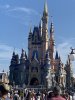 IMG_9023.jpeg