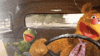 IMG_20210907_121630.gif