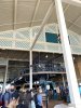IMG_7503.JPEG