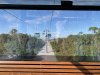 IMG_7506.JPEG
