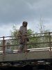 IMG_7544.JPEG