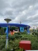 IMG_7549.JPEG