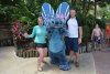 PhotoPass_Visiting_WDWRESORTSANDMORE_412909199490.jpeg