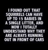 FB_IMG_1631894209222.jpg
