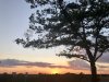 6BA2F8B9-2021-422B-9374-82CE0D3605E3.jpeg