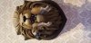 20190829_093056.jpg