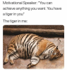 607213
