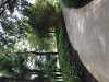 361208D3-2FEA-4357-9738-3B968D68251B.jpeg