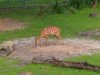 IMG_20210816_091351367.jpg