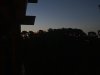 IMG_8007.jpeg