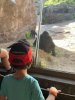 IMG_6217.jpeg