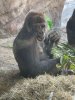IMG_6232.jpeg