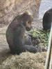 IMG_6238.jpeg