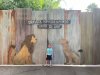 IMG_6241.jpeg