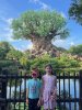 IMG_6242.jpeg