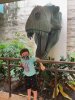 IMG_6274.jpeg