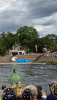 B0AF1650-25E7-402C-B55A-AE177A38CD5F.png