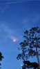 C3CA1A93-ECFD-495F-A7C7-D3621A4DF77C.jpeg