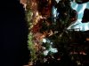12FDB47B-95F3-4AB2-BD33-072C3FC6F067.jpeg