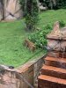 IMG_9092.JPEG